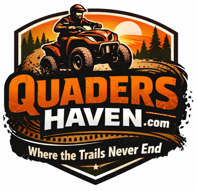 D4 Logo